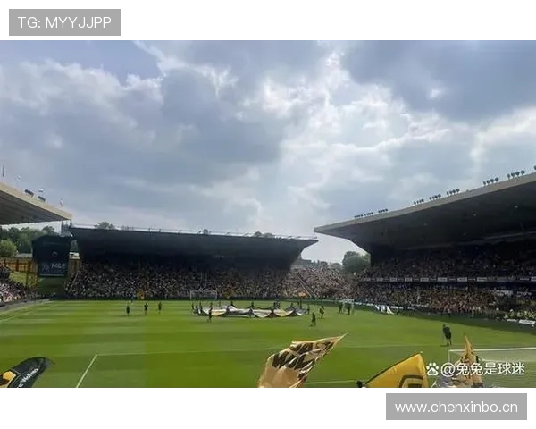 英超南伦敦老鹰