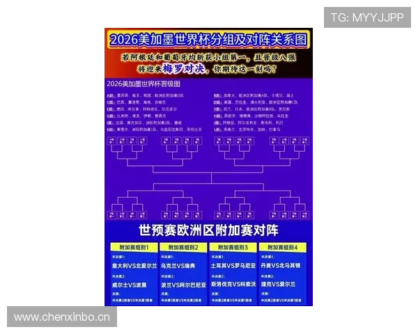 2026世界杯正赛分档依据是什么